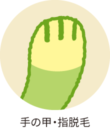 手の甲・指脱毛