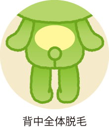 背中全体脱毛