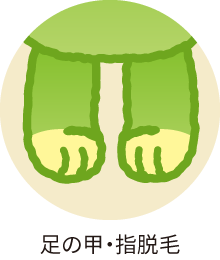 足の甲・指脱毛