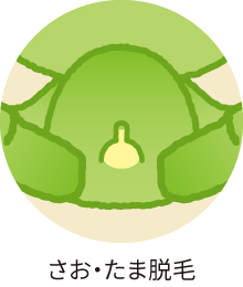 さお・たま脱毛